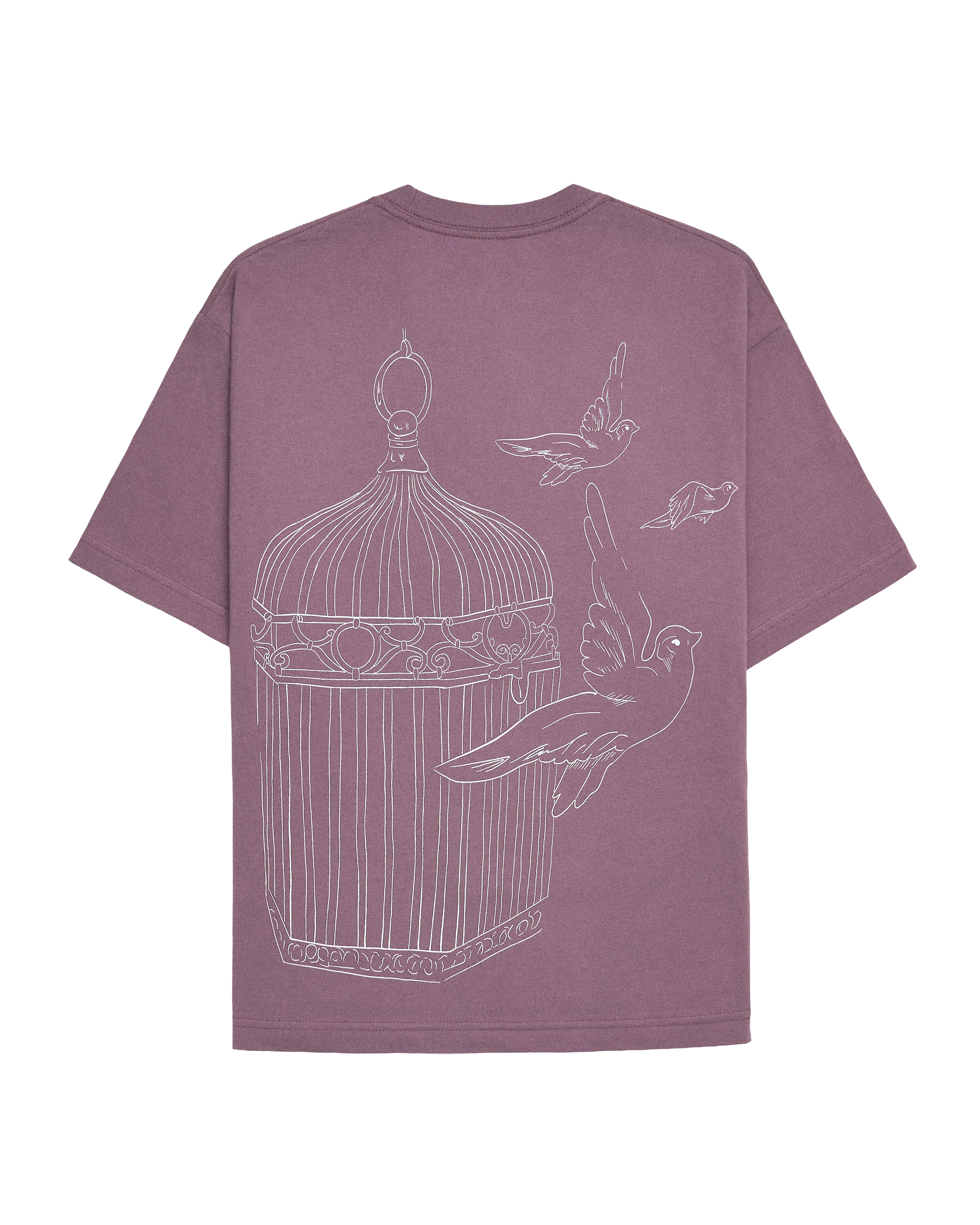 Speak Now (Taylor's Version) Bird Cage T-Shirt