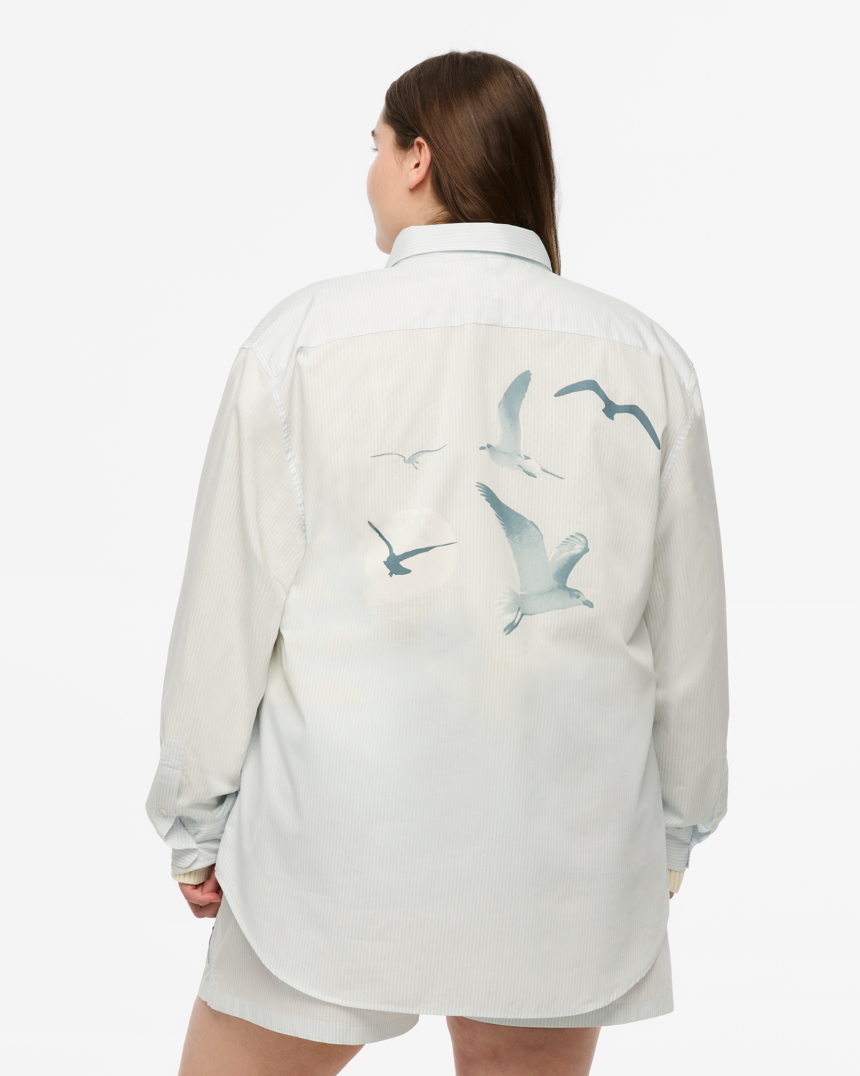 Taylor Swift 1989 (Taylor's Version) Seagull Blue Stripe Poplin Shirt T-Shirt 411227