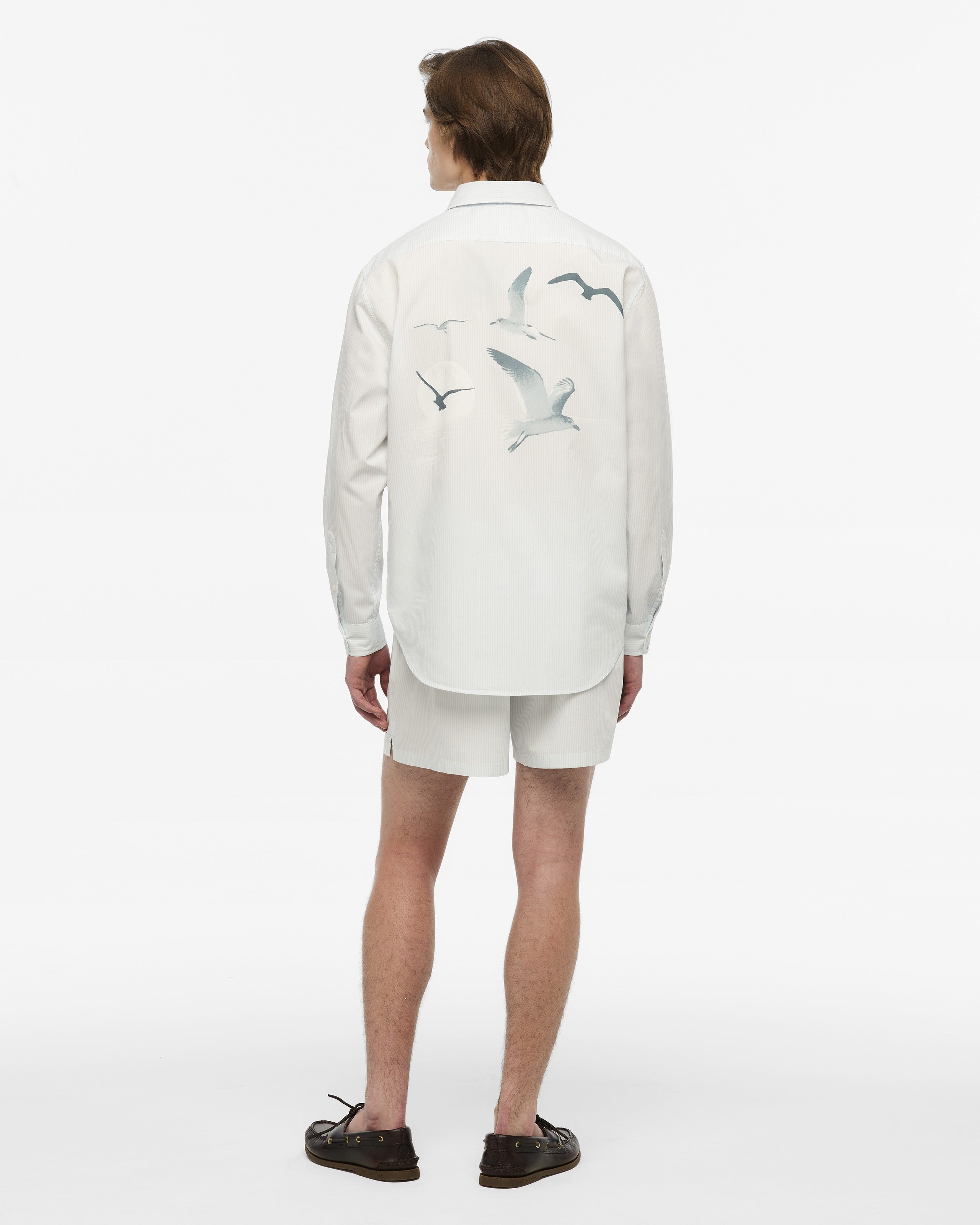 Taylor Swift 1989 (Taylor's Version) Seagull Blue Stripe Poplin Shirt T-Shirt 411217