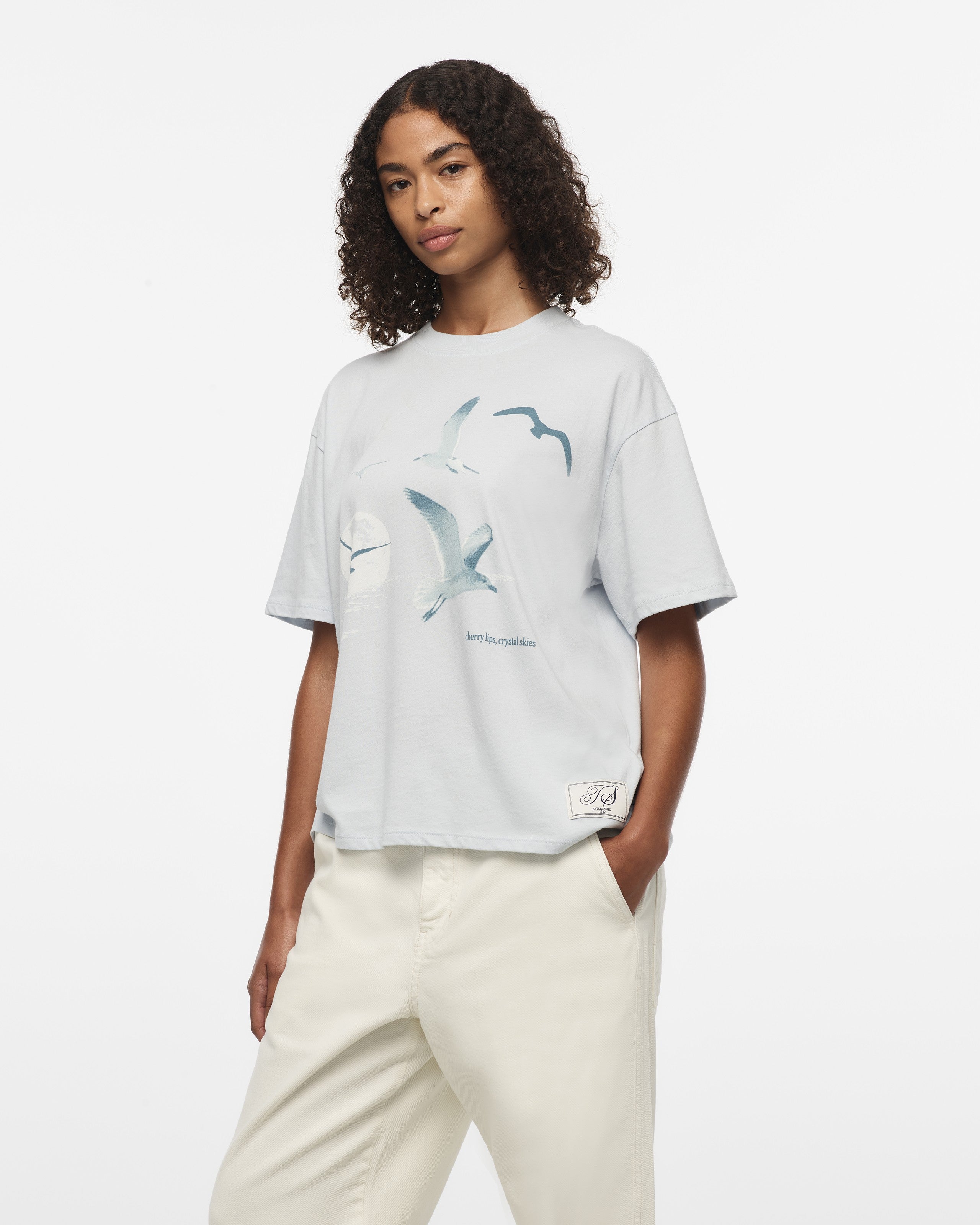 Taylor Swift 1989 (Taylor's Version) Seagull Boxy T-Shirt T-Shirt 411163