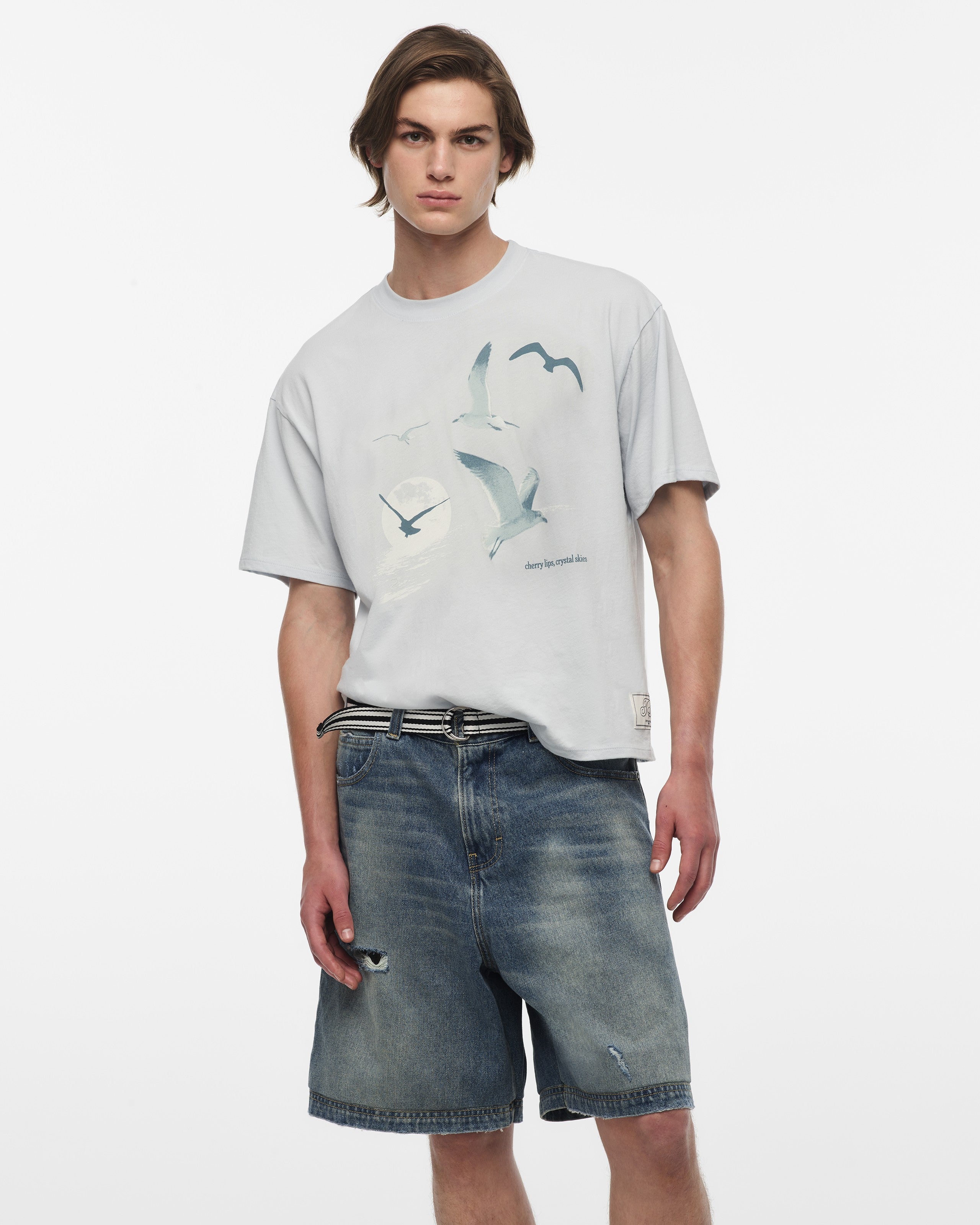 Taylor Swift 1989 (Taylor's Version) Seagull Boxy T-Shirt T-Shirt 411165