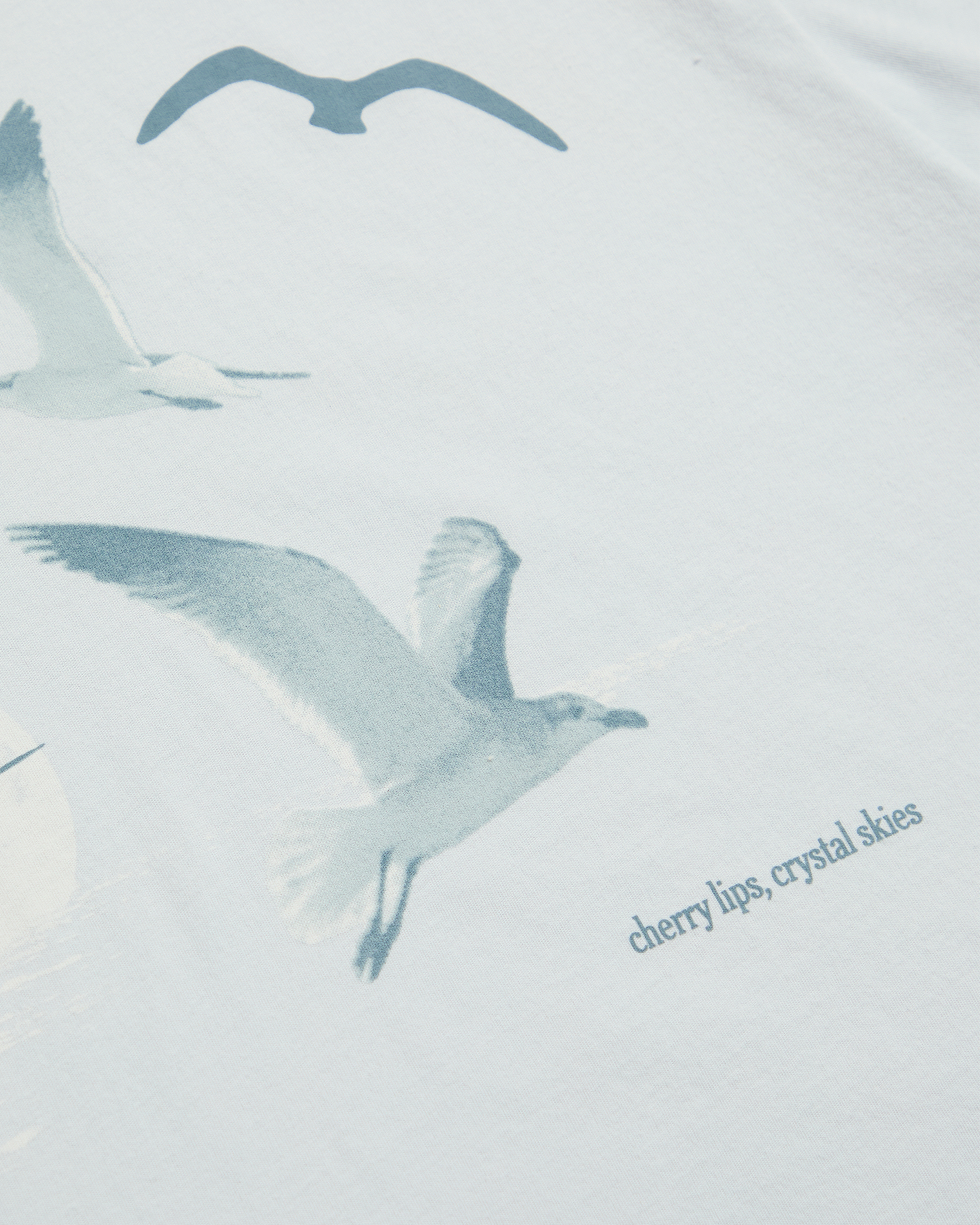 Taylor Swift 1989 (Taylor's Version) Seagull Boxy T-Shirt T-Shirt 411185