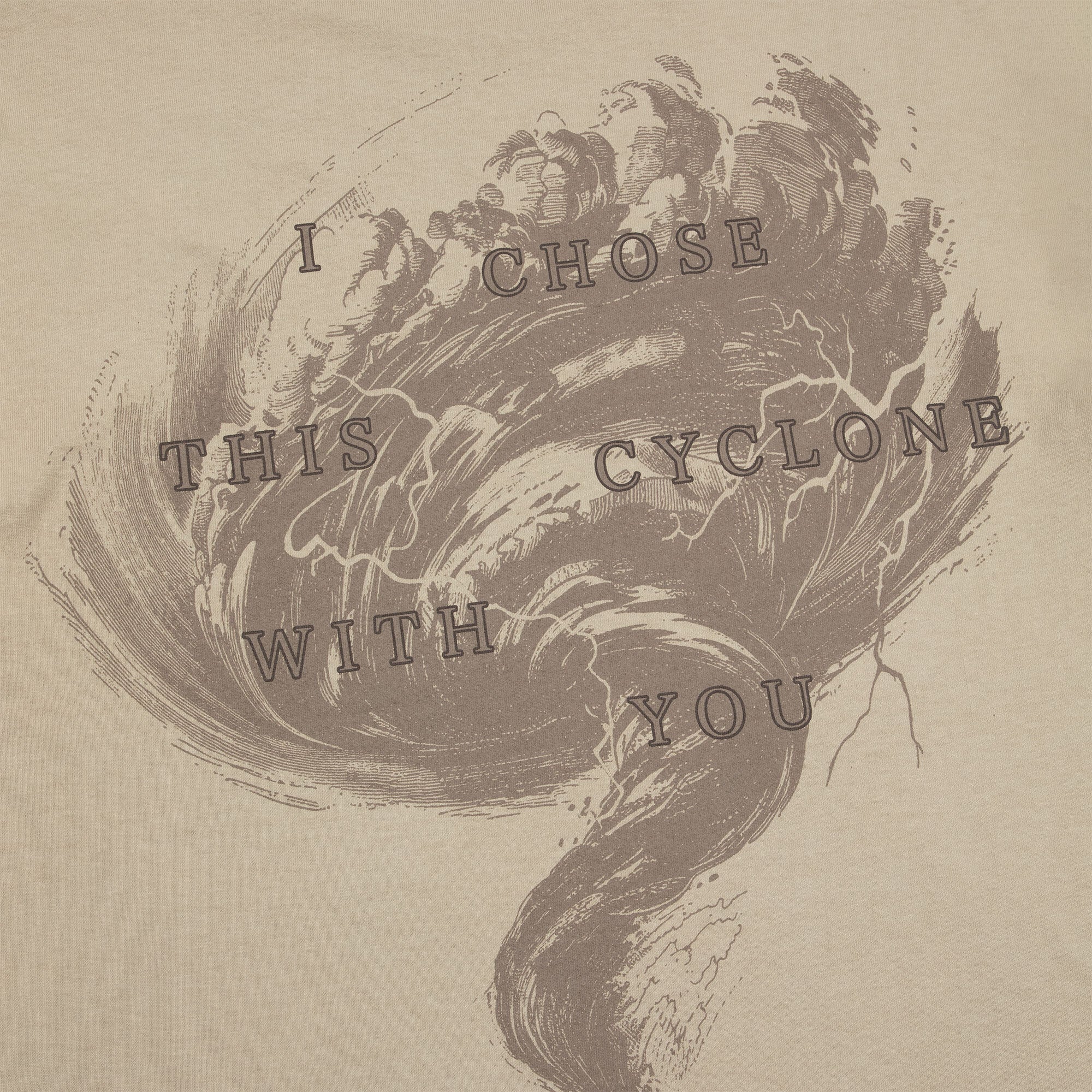Taylor Swift I Chose This Cyclone With You T-Shirt T-Shirt 363931