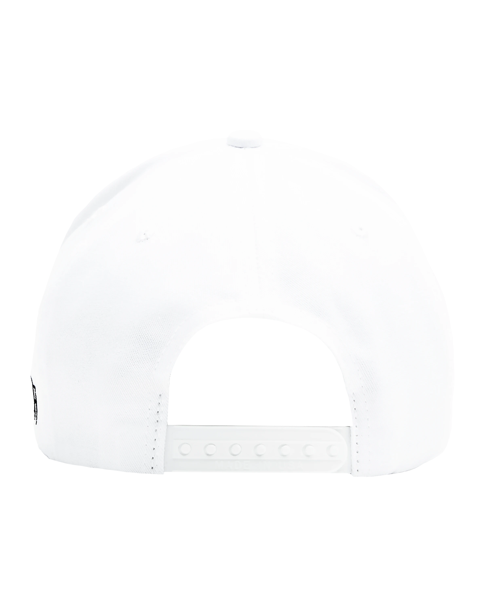 Taylor Swift The Life of a Showgirl Shiny Bug Hat Dad Hat 423540